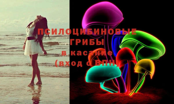 ГАЛЛЮЦИНОГЕННЫЕ ГРИБЫ Армянск
