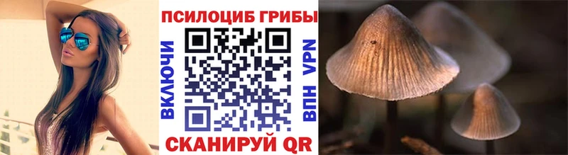 МЕГА онион  Новоалександровск  Псилоцибиновые грибы Cubensis 